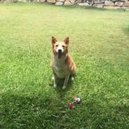 Profile Picture of InevitablyDivinity