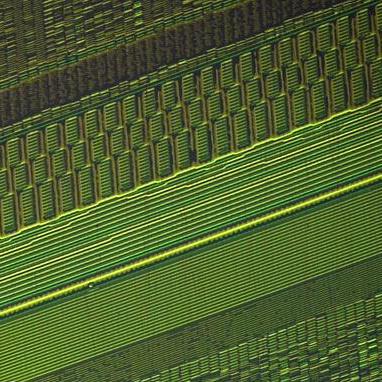 Profile Picture of darvil